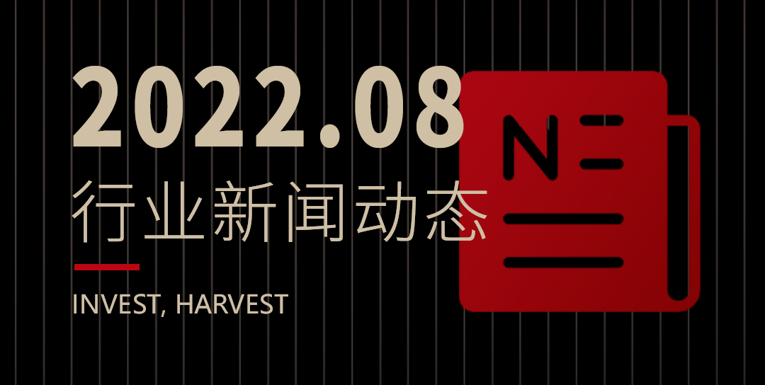 Chainfir Capital 八月全球区块链新闻精选
